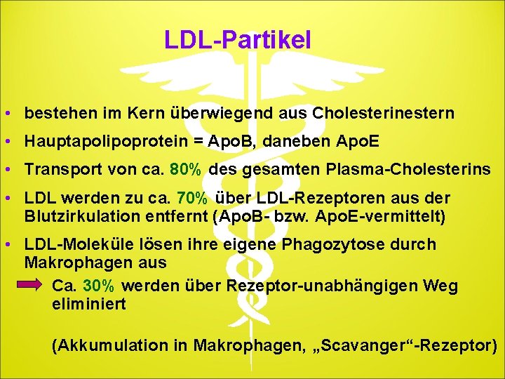 LDL-Partikel • bestehen im Kern überwiegend aus Cholesterinestern • Hauptapolipoprotein = Apo. B, daneben