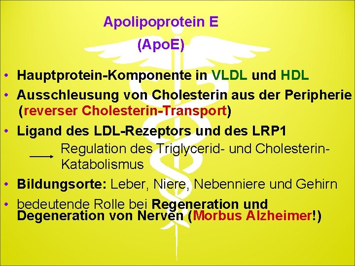 Apolipoprotein E (Apo. E) • Hauptprotein-Komponente in VLDL und HDL • Ausschleusung von Cholesterin