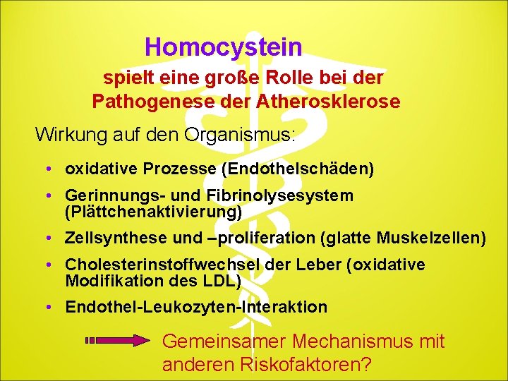 Homocystein spielt eine große Rolle bei der Pathogenese der Atherosklerose Wirkung auf den Organismus: