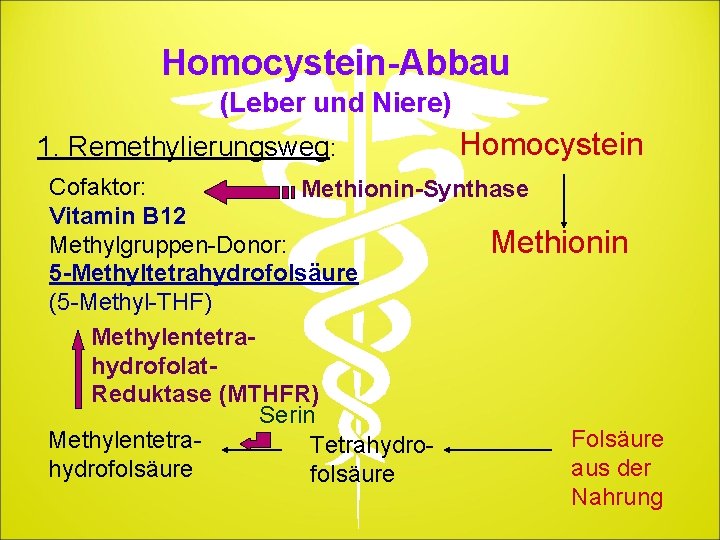 Homocystein-Abbau (Leber und Niere) 1. Remethylierungsweg: Homocystein Cofaktor: Methionin-Synthase Vitamin B 12 Methylgruppen-Donor: Methionin