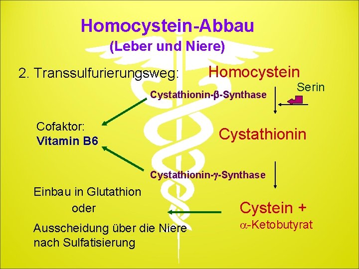 Homocystein-Abbau (Leber und Niere) 2. Transsulfurierungsweg: Homocystein Cystathionin-b-Synthase Cofaktor: Vitamin B 6 Serin Cystathionin-g-Synthase