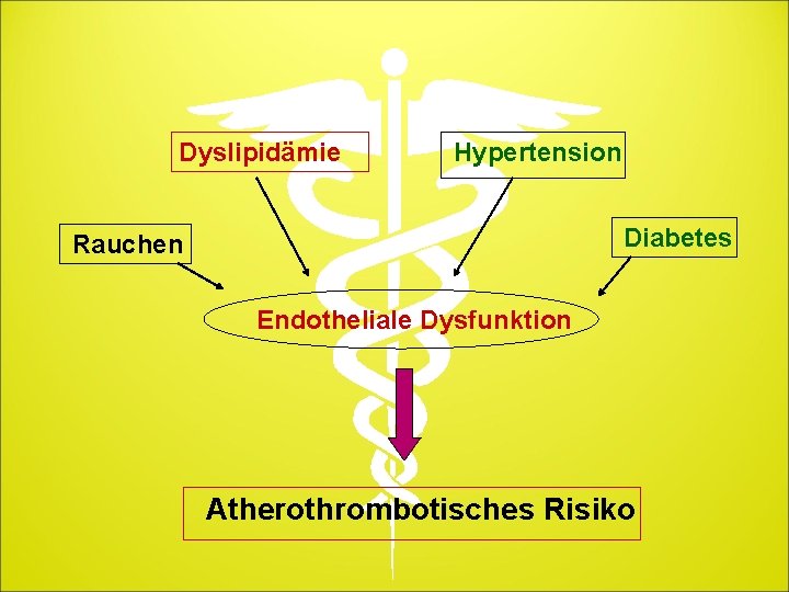 Dyslipidämie Hypertension Diabetes Rauchen Endotheliale Dysfunktion Atherothrombotisches Risiko 