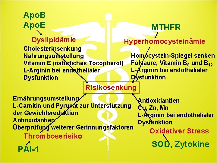 Apo. B Apo. E MTHFR Dyslipidämie Cholesterinsenkung Nahrungsumstellung Vitamin E (natürliches Tocopherol) L-Arginin bei