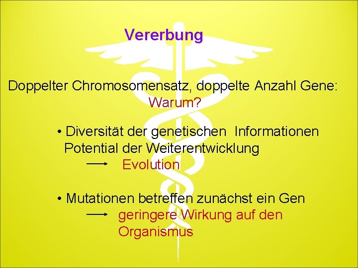 Vererbung Doppelter Chromosomensatz, doppelte Anzahl Gene: Warum? • Diversität der genetischen Informationen Potential der