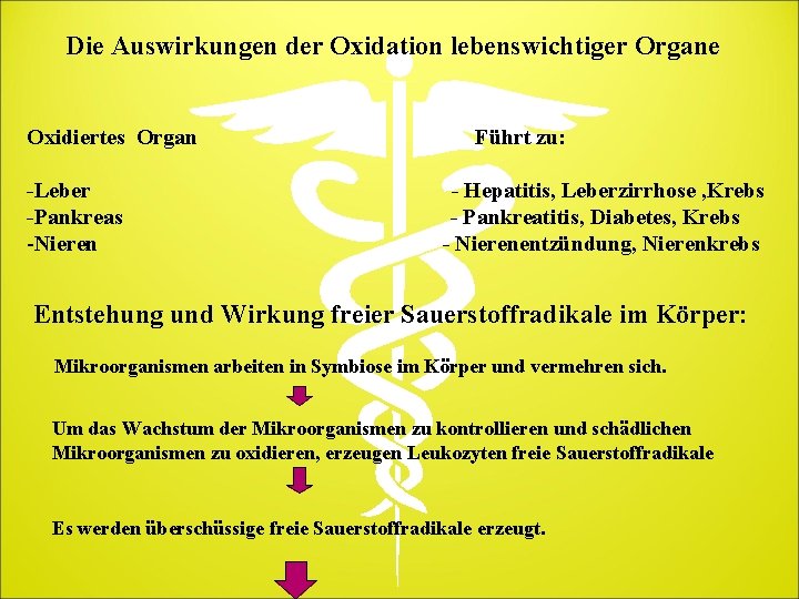 Die Auswirkungen der Oxidation lebenswichtiger Organe Oxidiertes Organ -Leber -Pankreas -Nieren Führt zu: -