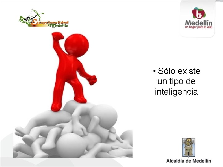  • Sólo existe un tipo de inteligencia 