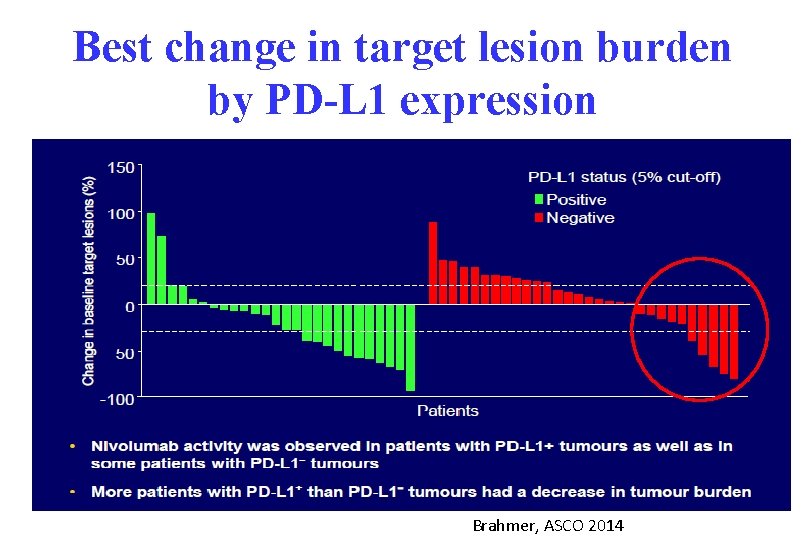 Best change in target lesion burden by PD-L 1 expression Brahmer, ASCO 2014 Best change in target lesion burden by PD-L 1 expression Brahmer, ASCO 2014