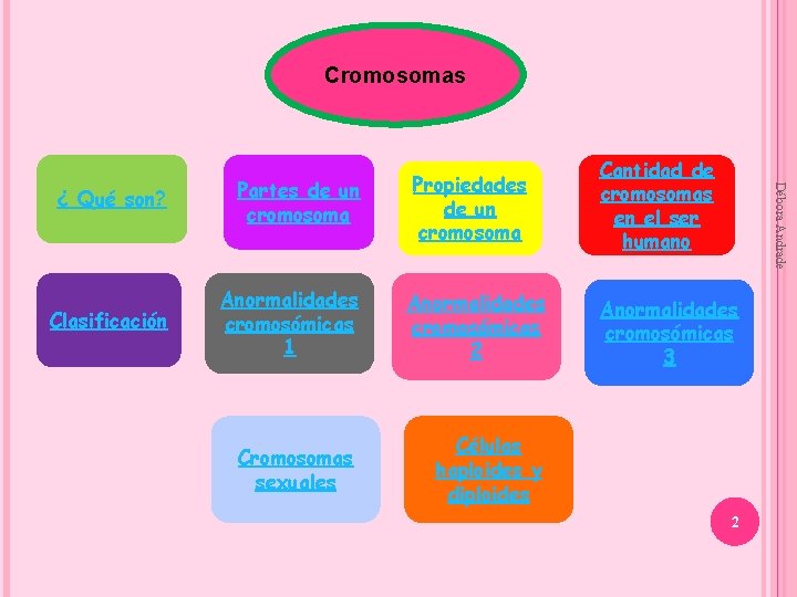 Cromosomas Partes de un cromosoma Clasificación Anormalidades cromosómicas 1 Anormalidades cromosómicas 2 Cromosomas sexuales