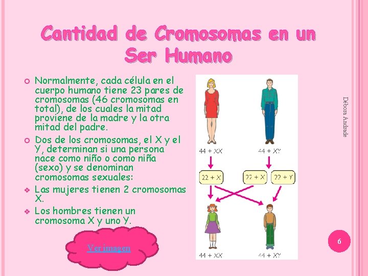 Cantidad de Cromosomas en un Ser Humano v v Ver imagen Débora Andrade Normalmente,