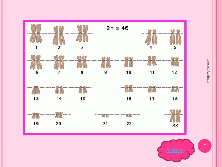 Débora Andrade 7 Volver 