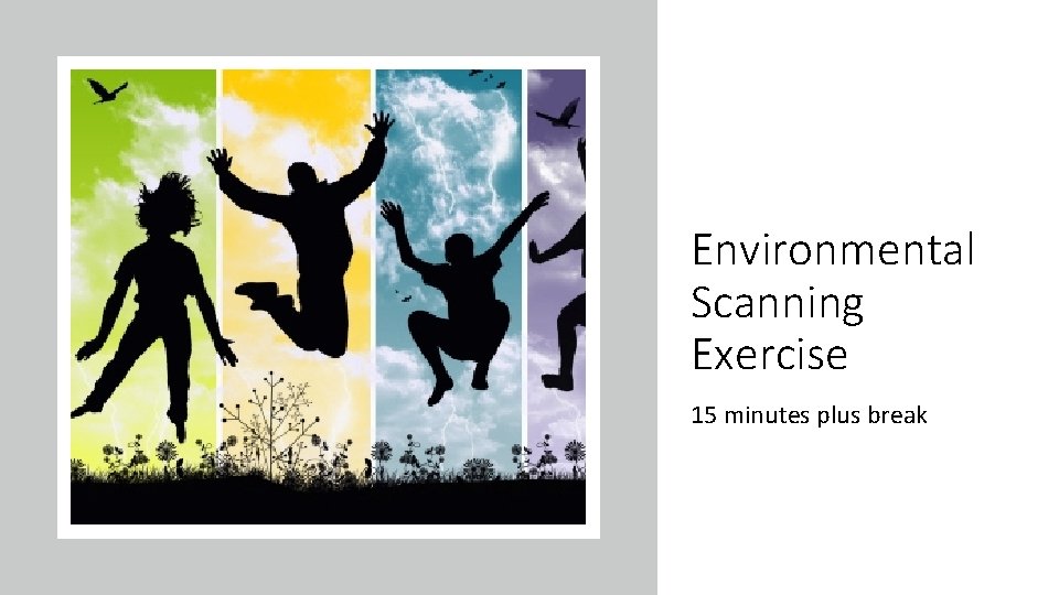 Environmental Scanning Exercise 15 minutes plus break 