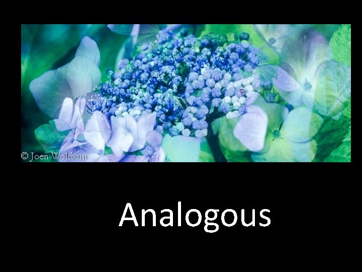 Analogous 