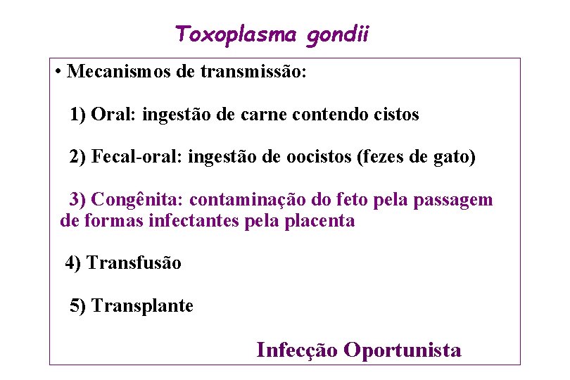 Toxoplasma gondii • Mecanismos de transmissão: 1) Oral: ingestão de carne contendo cistos 2)