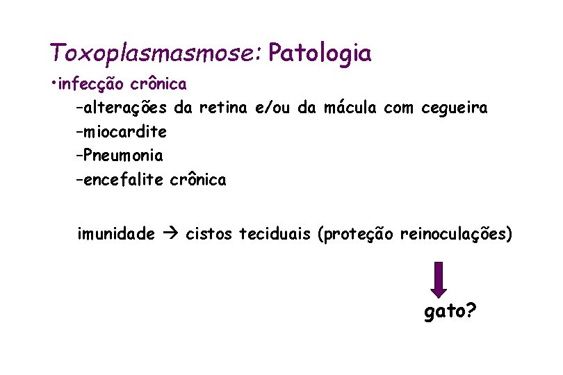 Toxoplasmasmose: Patologia • infecção crônica –alterações da retina e/ou da mácula com cegueira –miocardite