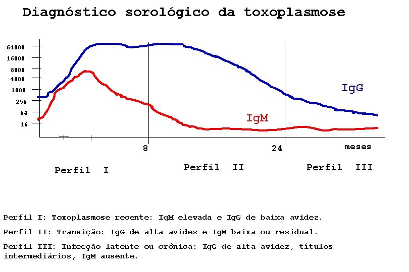 Diagnóstico sorológico da toxoplasmose 64000 16000 8000 4000 Ig. G 1000 256 64 Ig.