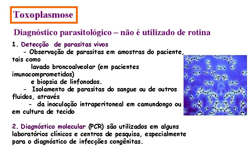 Toxoplasmose Diagnóstico parasitológico – não é utilizado de rotina 1. Detecção de parasitas vivos