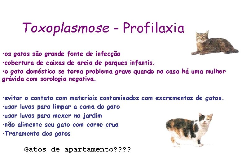 Toxoplasmose - Profilaxia • os gatos são grande fonte de infecção • cobertura de