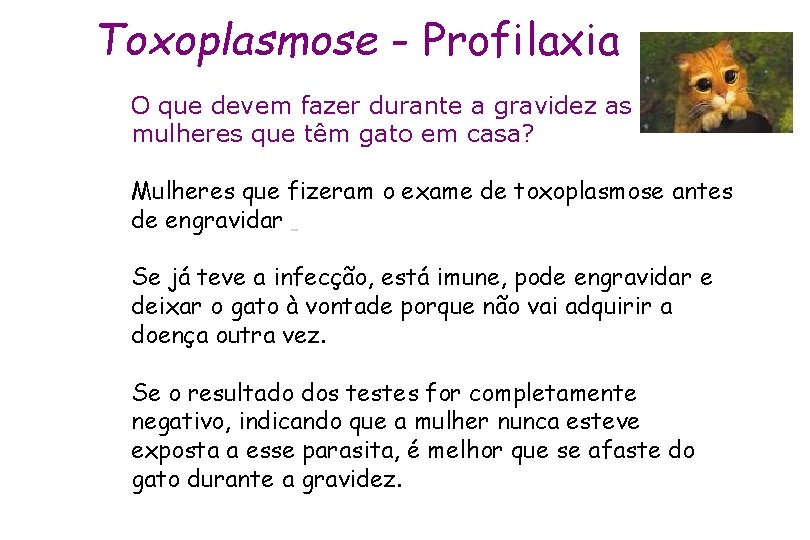 Toxoplasmose - Profilaxia O que devem fazer durante a gravidez as mulheres que têm