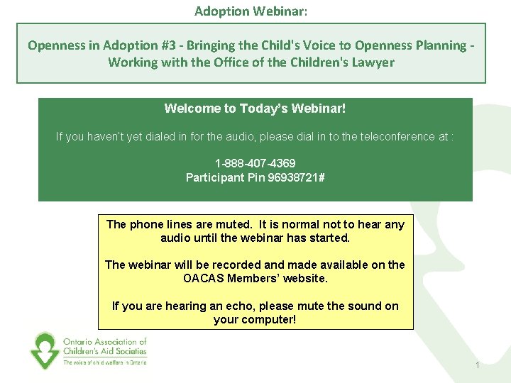 Adoption Webinar: Openness in Adoption #3 - Bringing the Child's Voice to Openness Planning