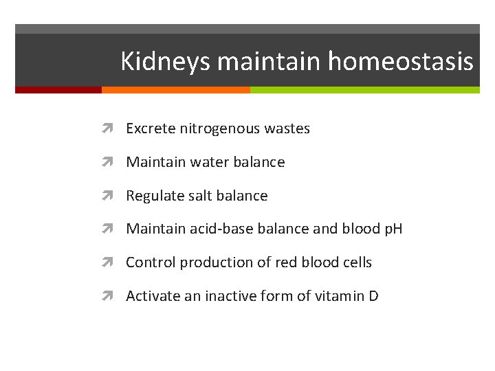 Kidneys maintain homeostasis Excrete nitrogenous wastes Maintain water balance Regulate salt balance Maintain acid-base