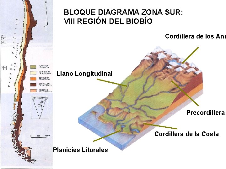 BLOQUE DIAGRAMA ZONA SUR: VIII REGIÓN DEL BIOBÍO Cordillera de los And Llano Longitudinal BLOQUE DIAGRAMA ZONA SUR: VIII REGIÓN DEL BIOBÍO Cordillera de los And Llano Longitudinal