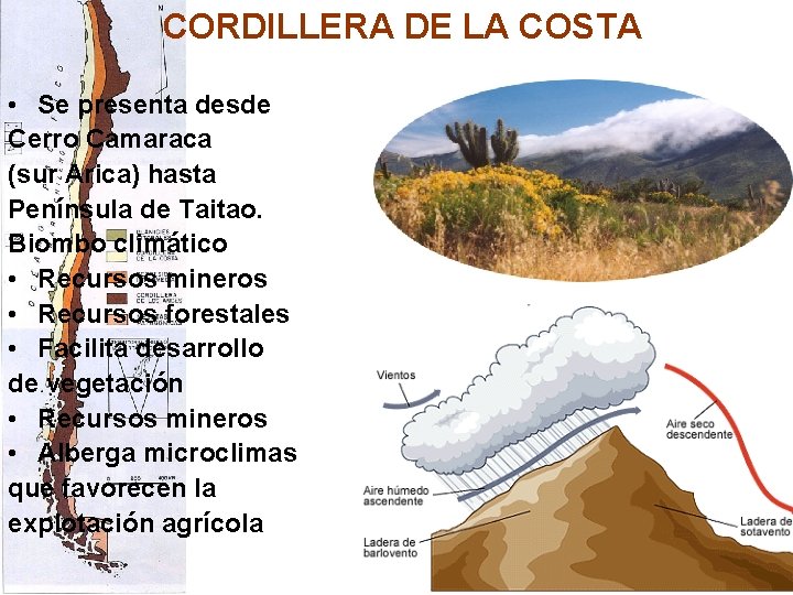 CORDILLERA DE LA COSTA • Se presenta desde Cerro Camaraca (sur Arica) hasta Península