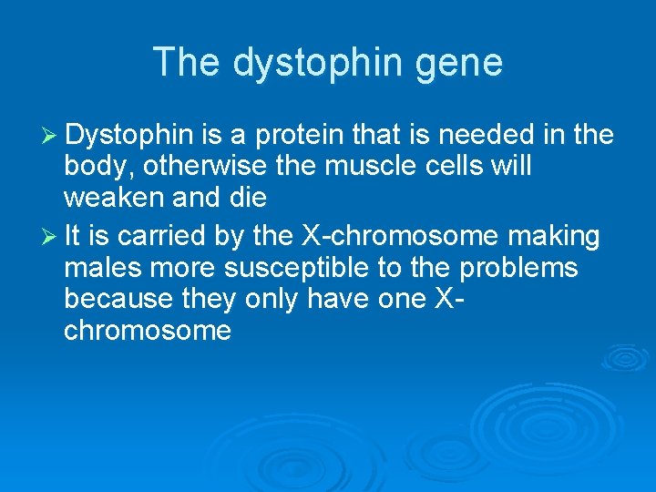 The dystophin gene Ø Dystophin is a protein that is needed in the body,