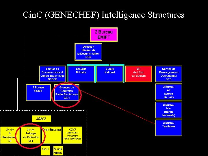 Cin. C (GENECHEF) Intelligence Structures 