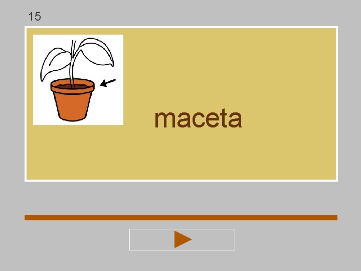 15 maceta 15 maceta