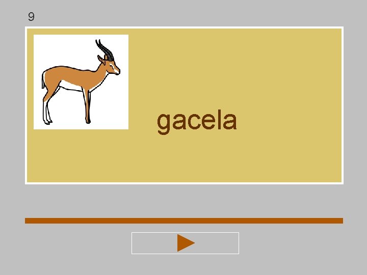9 gacela 9 gacela