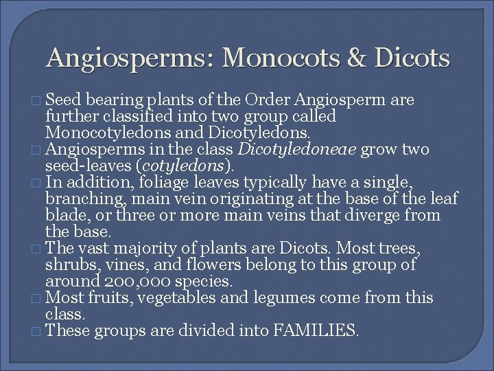 Angiosperms: Monocots & Dicots � Seed bearing plants of the Order Angiosperm are further