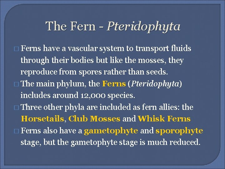 The Fern - Pteridophyta � Ferns have a vascular system to transport fluids through