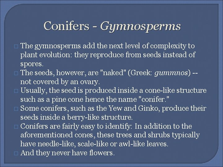 Conifers - Gymnosperms The gymnosperms add the next level of complexity to plant evolution: