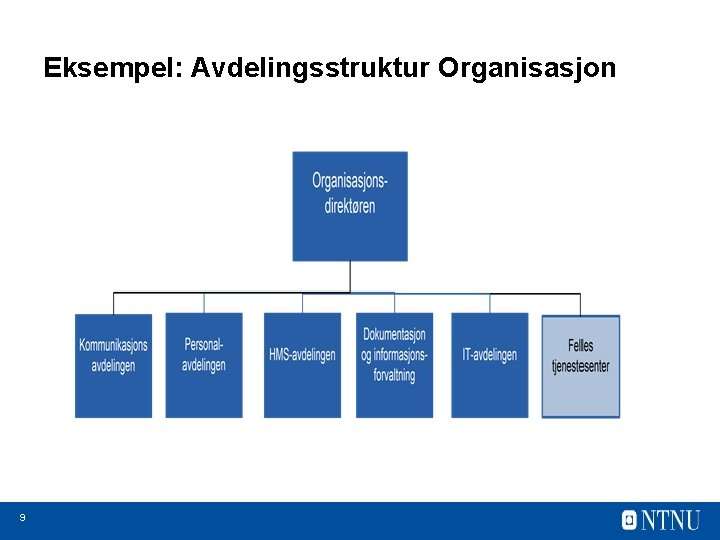 Eksempel: Avdelingsstruktur Organisasjon 9 