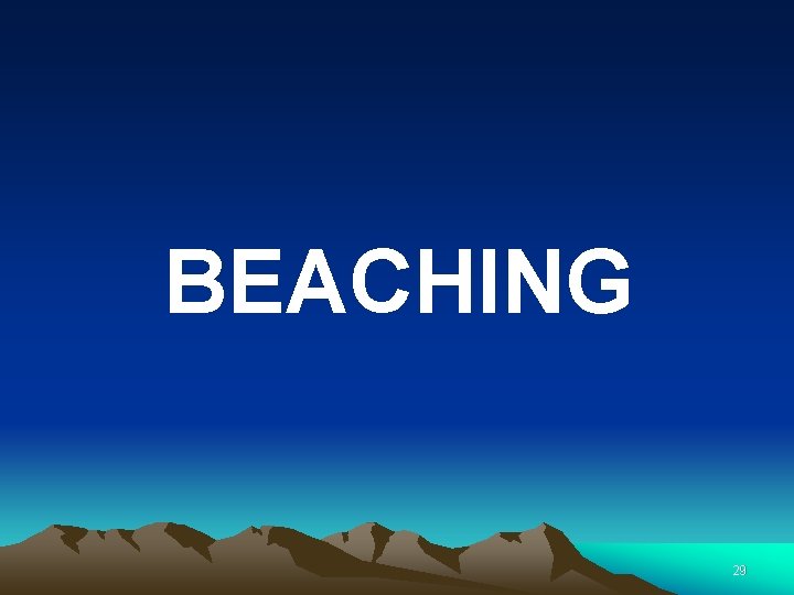BEACHING 29 