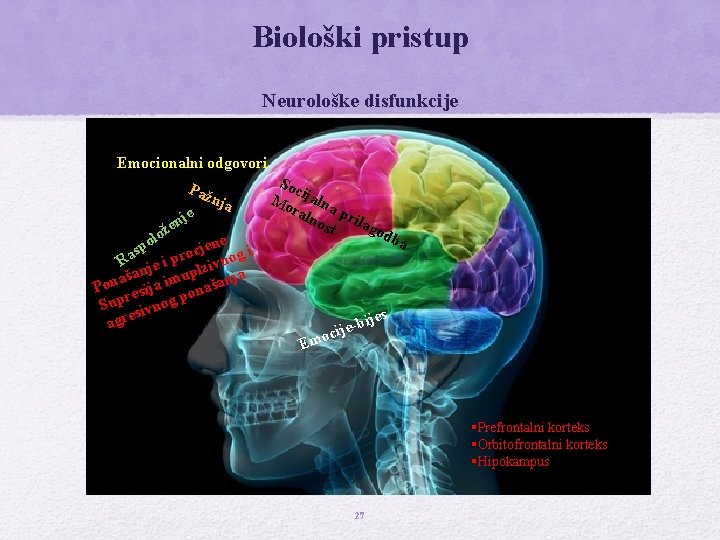 Biološki pristup Neurološke disfunkcije Emocionalni odgovori Paž nja e nj e lož o ene