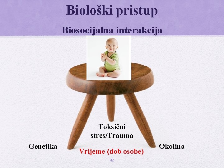 Biološki pristup Biosocijalna interakcija Toksični stres/Trauma Genetika Vrijeme (dob osobe) 42 Okolina 