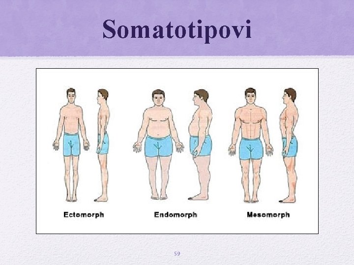 Somatotipovi 59 