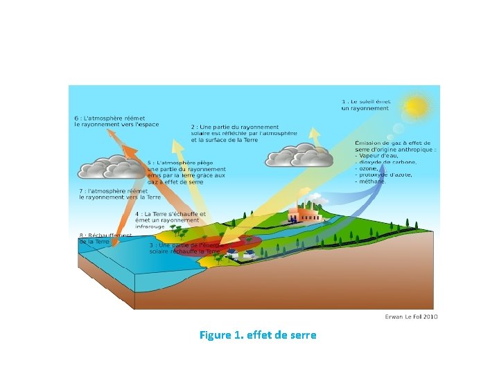 Influence de la pollution atmosphrique sur les cosystmes