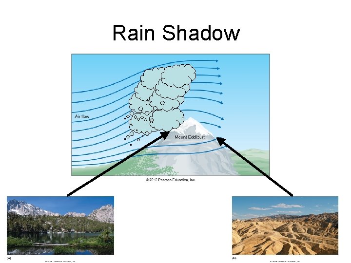 Rain Shadow 