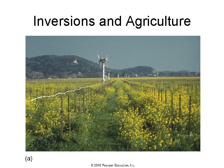Inversions and Agriculture 