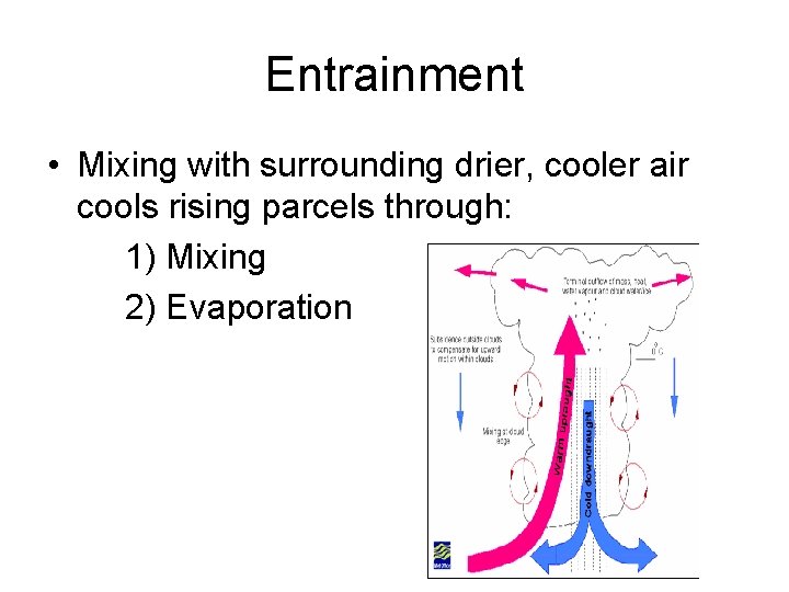 Entrainment • Mixing with surrounding drier, cooler air cools rising parcels through: 1) Mixing