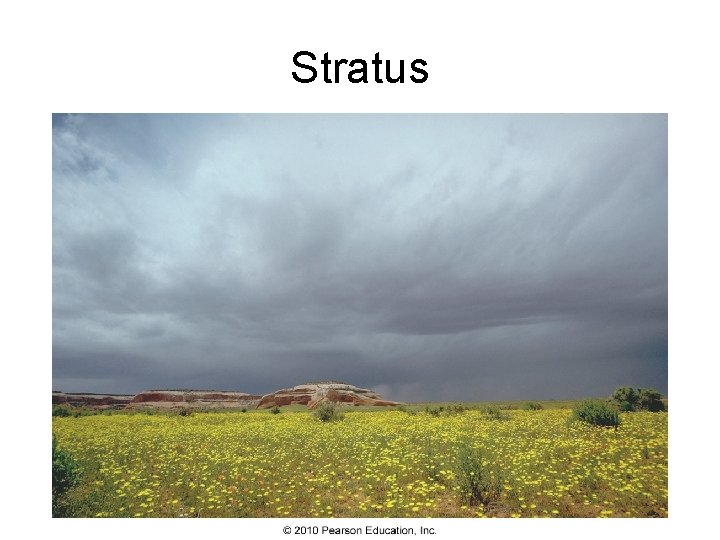 Stratus 