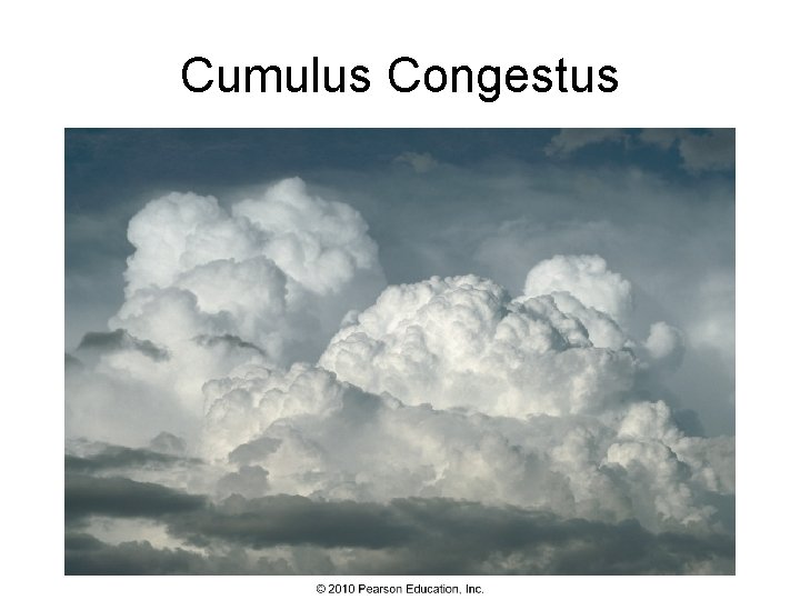 Cumulus Congestus 