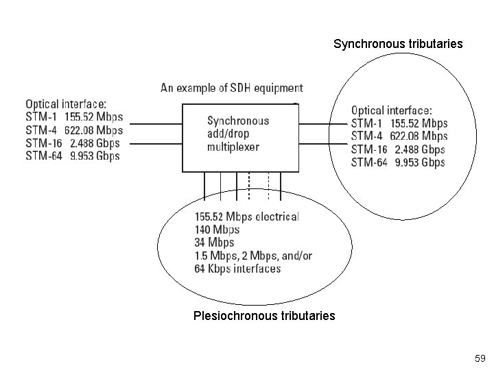 Synchronous tributaries Plesiochronous tributaries 59 