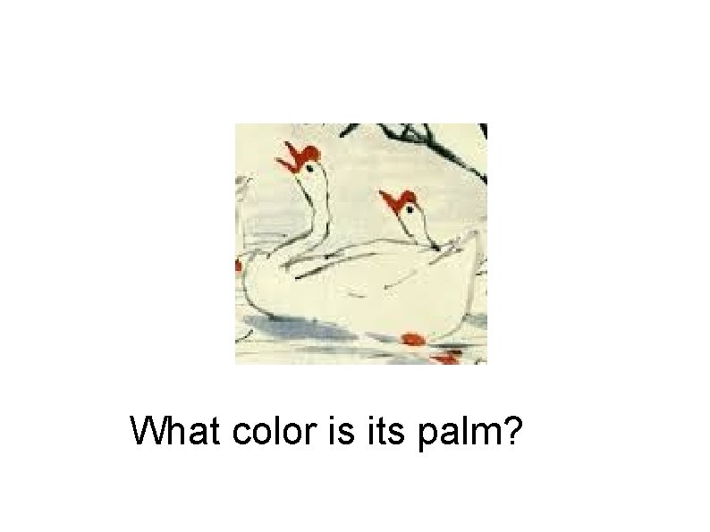 What color is its palm? 