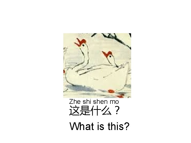 Zhe shi shen mo 这是什么？ What is this? 
