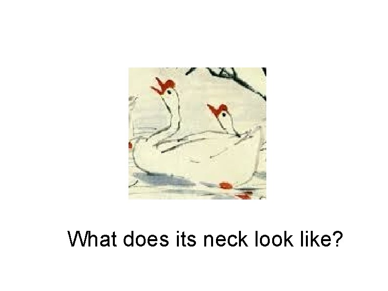 What does its neck look like? 