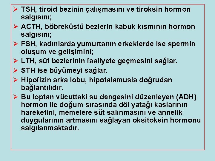 Ø TSH, tiroid bezinin çalışmasını ve tiroksin hormon salgısını; Ø ACTH, böbreküstü bezlerin kabuk