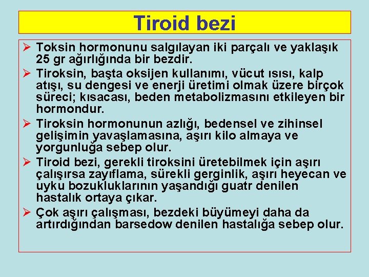 Tiroid bezi Ø Toksin hormonunu salgılayan iki parçalı ve yaklaşık 25 gr ağırlığında bir